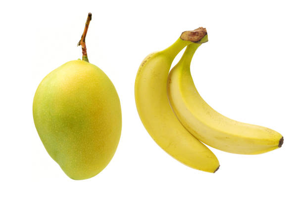 Tropical Fruit - Mango and Banana   Isolated on white background