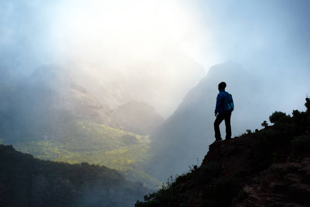 istock admiring amazing Tenerife mountains 826946546