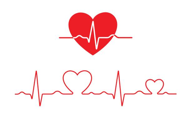 illustrazioni stock, clip art, cartoni animati e icone di tendenza di elettrocardiogramma vettoriale e modello cardiaco (concetto di salute) - battito del cuore