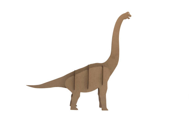 istock diplodocus made out of cardboard 826952232