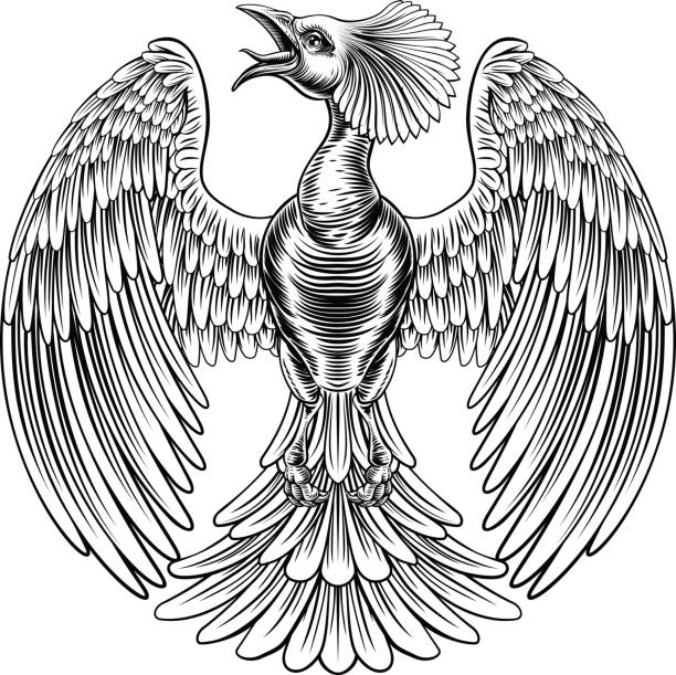 75 Flaming Phoenix Tattoo Drawings Illustrations & Clip Art - iStock 75 Flaming Phoenix Tattoo Drawings Illustrations & Clip Art - iStock