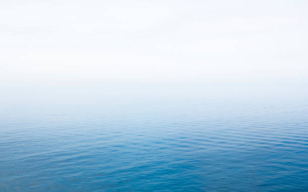 Tooth Fog on Baltic Sea near the Swedish coast fog transparent stock pictures, royalty-free photos & images