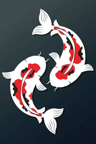 Vector illustration of koi fish