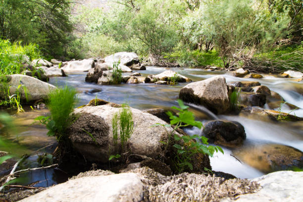 istock Water in a creek in the nature 826973396