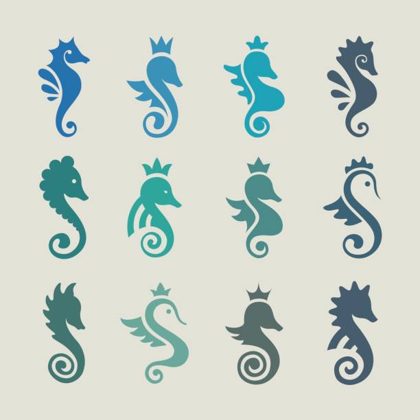 Stylized graphic Seahorse. Silhouette illustration of sea life. Sketch for tattoo on isolated white background. Vector flat Set of icons collection Stylized graphic Seahorse. Silhouette illustration of sea life. Sketch for tattoo on isolated white background. Vector flat Set of icons collection seahorse stock illustrations