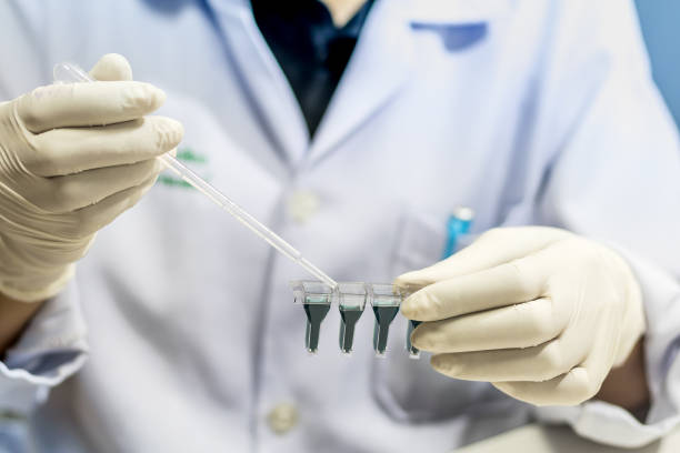 istock Laboratory technician injecting liquid into a microtiter plate, Scientist working at the laboratory, blood analysis, Vintage color. 826974718