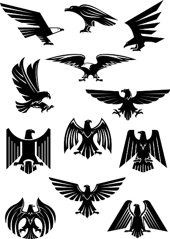 Heraldic eagle and hawk, falcon badge. Aquila with wide opened wing tattoo, bird as insignia of power and freedom, american patriotism symbol. Retro heraldry or historical culture, military or war theme