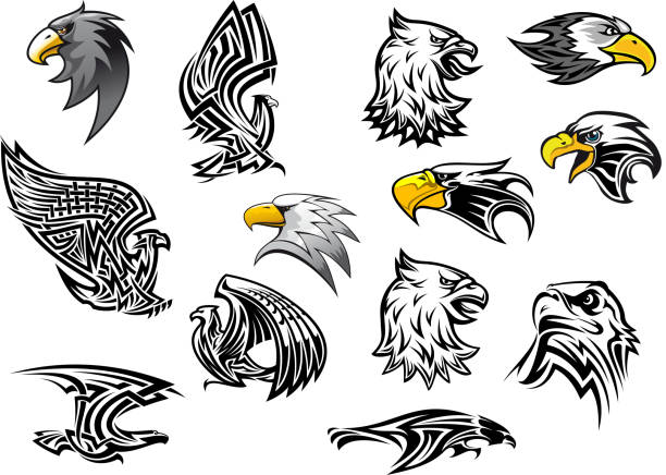 ilustrações, clipart, desenhos animados e ícones de icons vector águia falcão pássaro para mascote ou tatuagem - symbol computer icon icon set entertainment