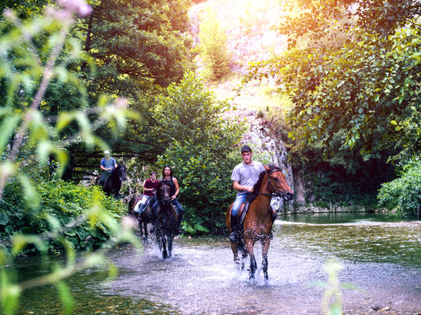 istock People gallops horse through stream 826984728