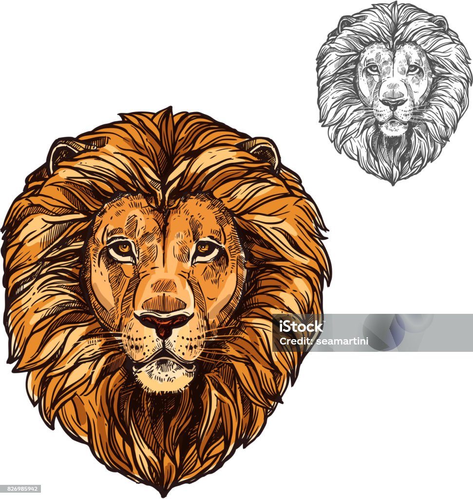 Lion muzzle African wild animal vector sketch icon Lion African wild animal head or muzzle sketch. Vector isolated icon of panther leo species cat for zoology, mascot blazon of sport team, wildlife savanna nature adventure scout club or tattoo Design stock vector