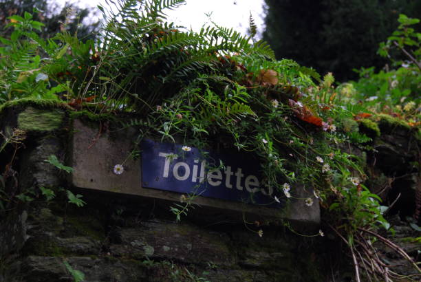 istock A beautiful Toilets Sign. 826986284