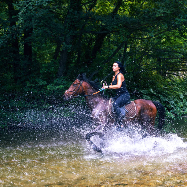 istock Woman gallops horse through stream 826986376