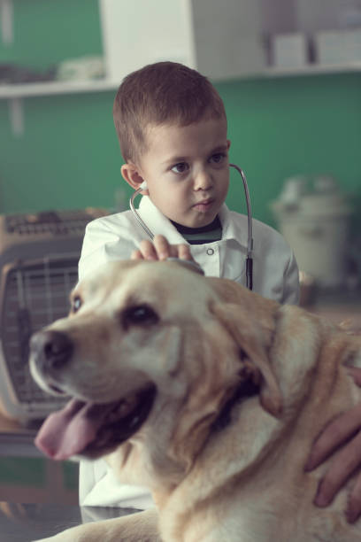 istock Young kid Playing a Veterinarian at the Vet's Office 826999090
