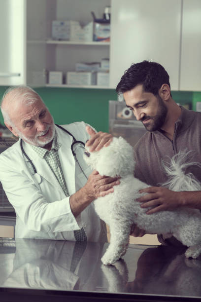 istock Handsome Man With his Dog at the Vet's Appointment 826999200