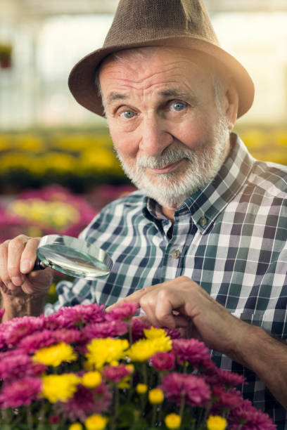 istock Senior man with magnifying glass looking flowers 826999506