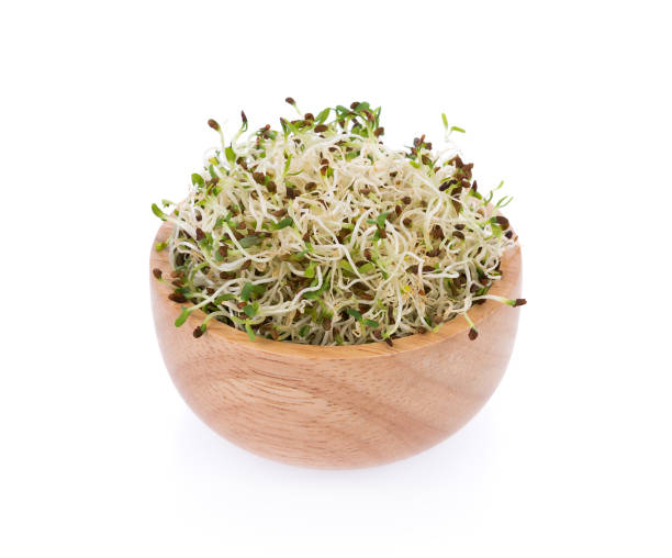istock heap of alfalfa sprouts on white background 826999690