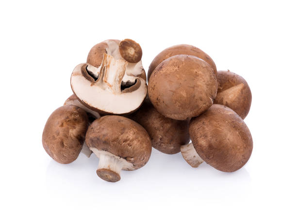 istock Mushroom champignon isolated on white background 827000490