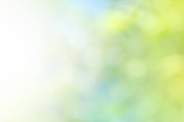 istock Texture blur color green and pink background 827003644