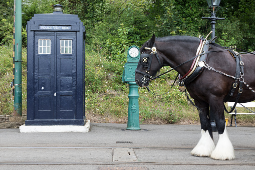 Police box at Crich Tramway Village, accompanied by a horse