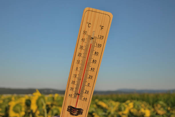 istock Mercury wooden thermometer 827015574
