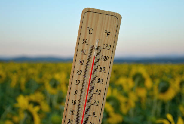 istock Mercury wooden thermometer 827015628
