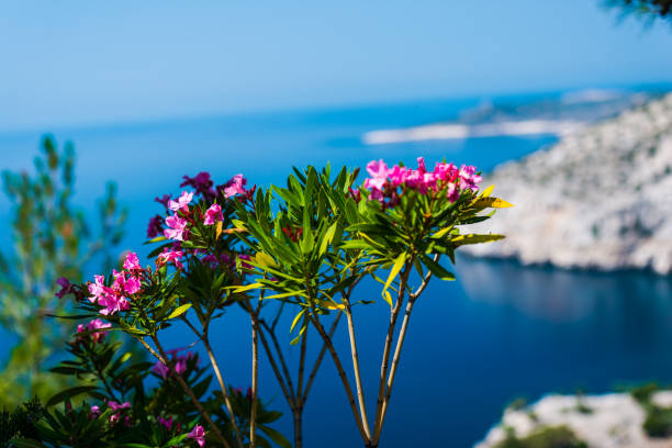 beautiful ionian sea at Lefkada island