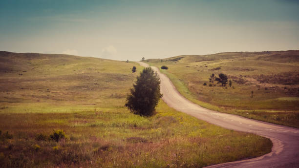 istock A winding mountain road at sunset in a pine forest. Serpentine. Sun rays light and shadow sun 827022122