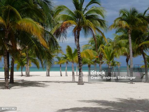 Isla Pasion Cozumel Stockfoto und mehr Bilder von Insel - Insel, Leidenschaft, Cozumel