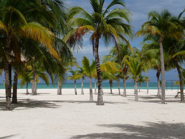 istock Pasion Island - Cozumel (Mexiko) 827022382