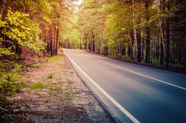 istock A winding mountain road at sunset in a pine forest. Serpentine. Sun rays light and shadow sun 827026050