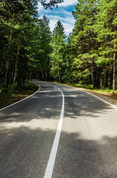 istock A winding mountain road at sunset in a pine forest. Serpentine. Sun rays light and shadow sun 827026908