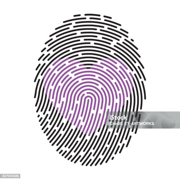 Modern Fingerprint Stock Illustration - Download Image Now - Germany, Illustration, People