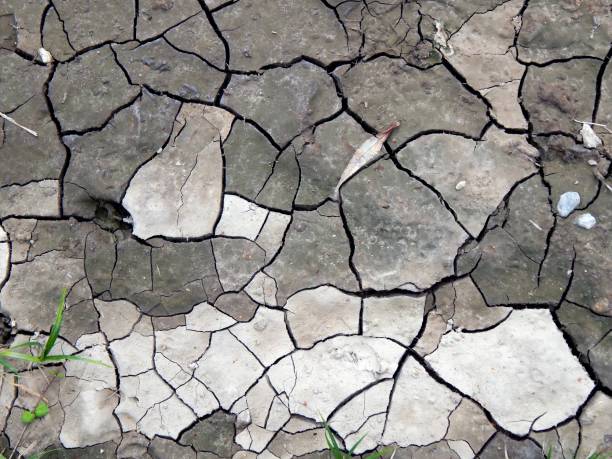 istock Cracked earth from dry weather 827037438