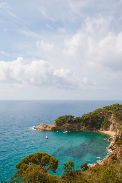 istock Vertical landscape. Rocks, trees and sea. 827040540