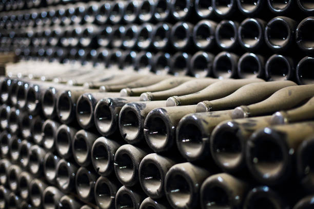 Wine or champagne bottles aged in cellar. Close up