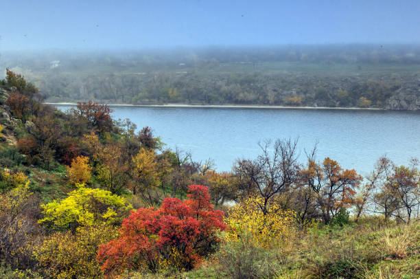 istock Autumn forest with fog 827050668