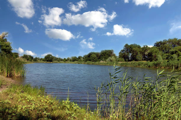 istock Summer landscape with lake 827050826