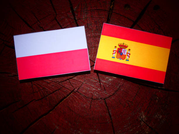 istock Polish flag with Spanish flag on a tree stump isolated 827057930
