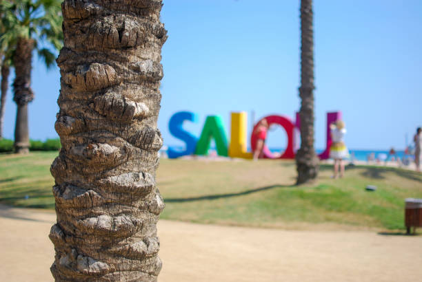 Palm trees in front of the sea (Salou Spain) stock photo