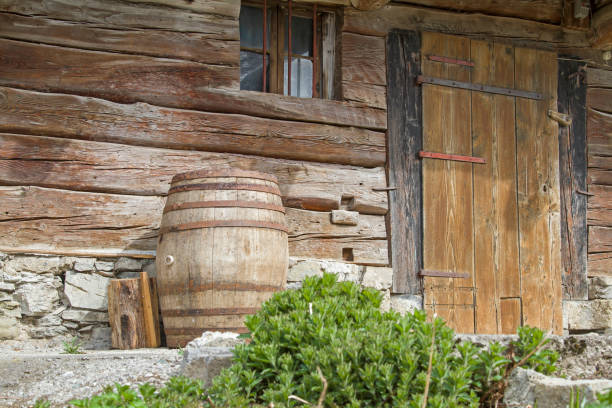 istock Detailed view in Sauris 827065088