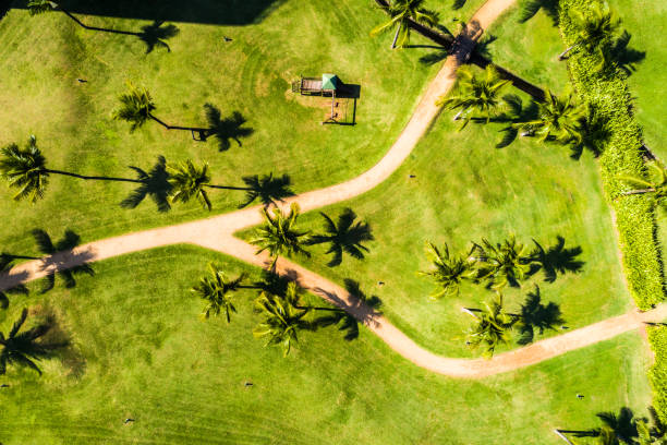 Top View of Path in a Beach