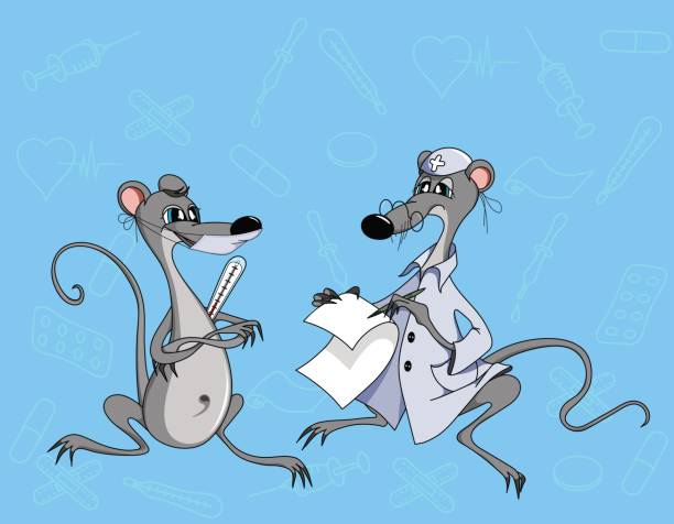 мышь врач и мышь пациента - animal hospital audio stock illustrations