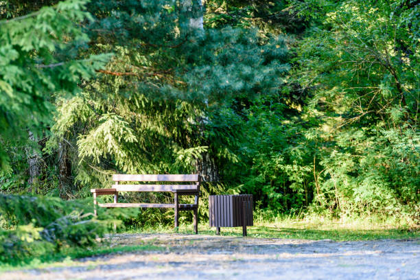 bench in  beautiful park in autumn in colorful morning