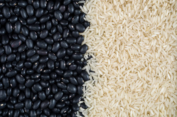 흰 쌀과 검은 콩 - rice cereal plant white rice white 뉴스 사진 이미지
