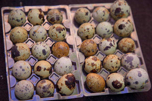 istock Farmer's market Quail Eggs 827069164