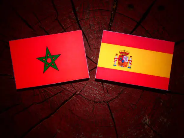 Moroccan flag with Spanish flag on a tree stump isolated