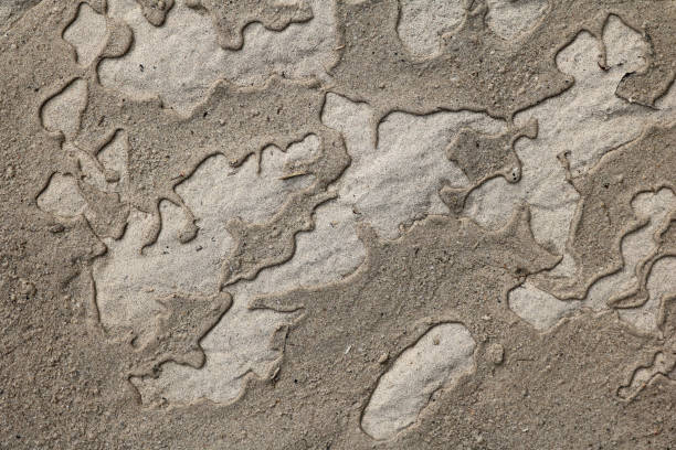 istock The surface of the sand and water 827072300