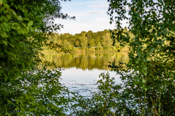 istock reflection of clouds in the lake 827074924