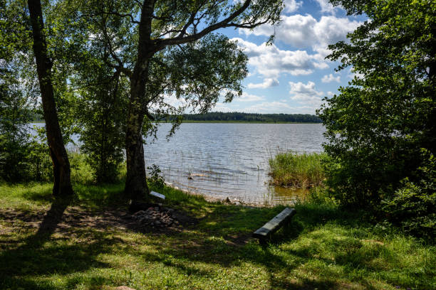 overcast day by the lake with water grass and blur background