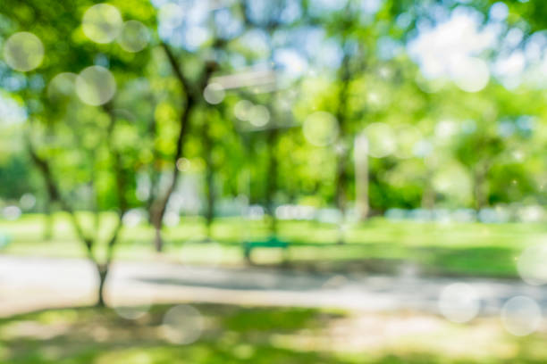 istock blur natural and light background in the park. 827080838